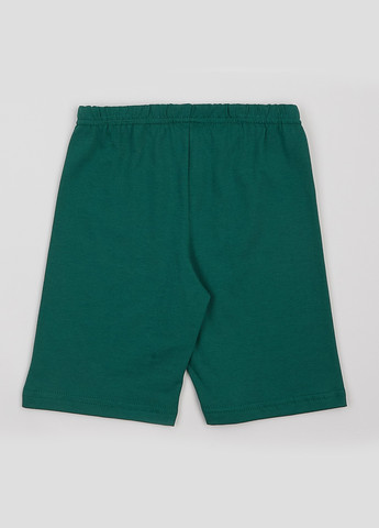 Шорты ArDoMi (328001030)