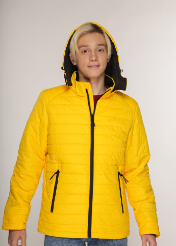 Желтая демисезонная куртка 8491 3xl желтый (2000903944065) No Name