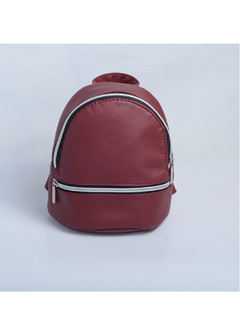 Женский рюкзак 24х19х10 см Sambag (242189205)