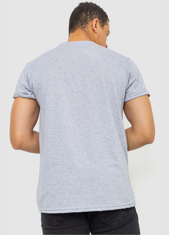 Світло-сіра футболка Ager