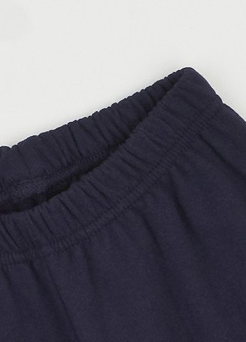 Индиго зимняя пижама (лонгслив, брюки) Flamingo