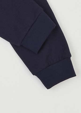 Индиго зимняя пижама (лонгслив, брюки) Flamingo