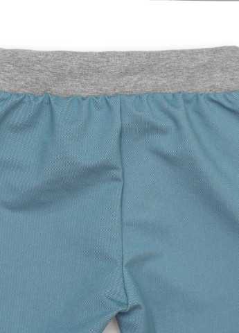 Голубые спортивные демисезонные брюки джоггеры ArDoMi