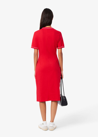 Сукня Lacoste - (363619801)