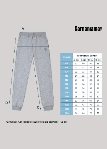 Костюм (толстовка, штани) Garnamama (324748935)