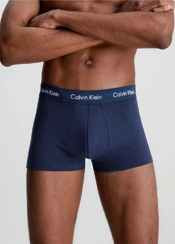 Труси (3 шт.) Calvin Klein Underwear (329039448)