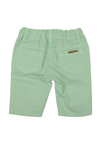 Светло-зеленые кэжуал демисезонные брюки со средней талией Microbe