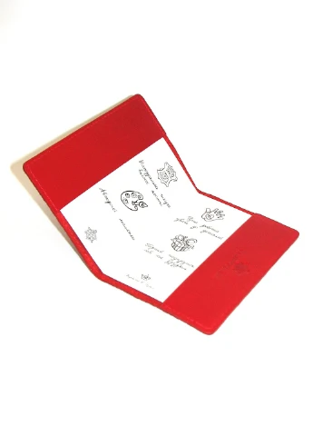 Обложка на паспорт B5116H Turtle (253932933)