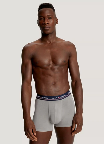 Трусы (3 шт.) Tommy Hilfiger (302859796)