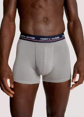 Трусы (3 шт.) Tommy Hilfiger (302859796)