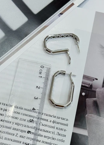 Сережки Silver Flame (317284832)