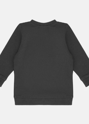 Темно-серый свитшот H&M однотонный (250022573)