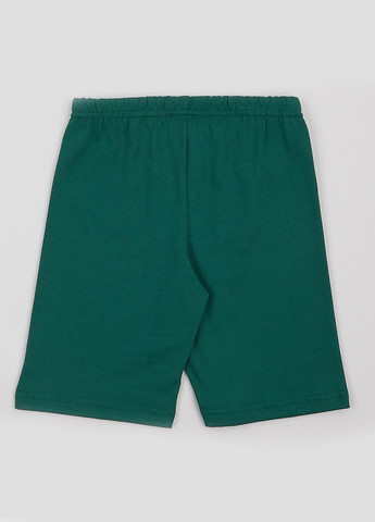 Шорты ArDoMi (328001034)