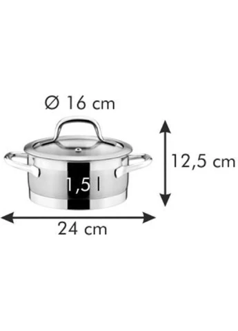 Каструля President 1,5 л, 16 см Tescoma (252788294)