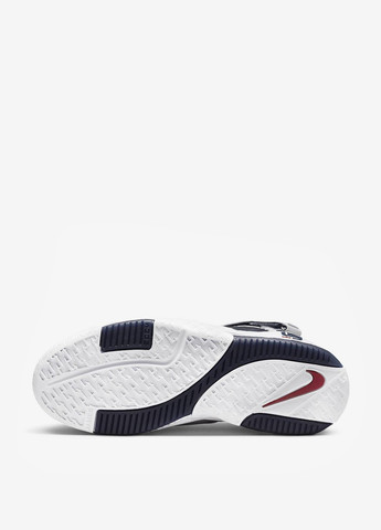 Цветные демисезонные кроссовки dr0826-100 Nike Zoom LeBron 2