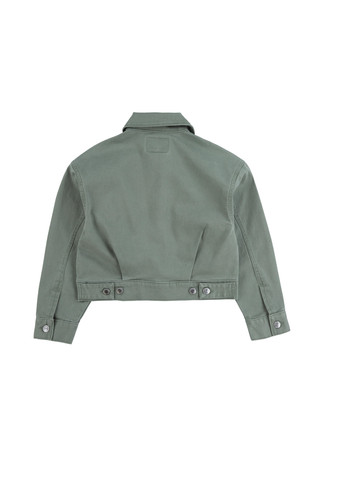 Сіро-зелена демісезонна куртка Levi's