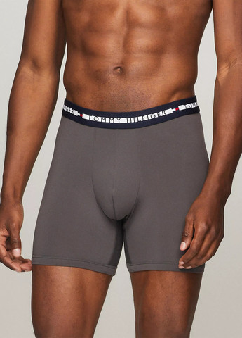 Трусы (3 шт.) Tommy Hilfiger (302859843)