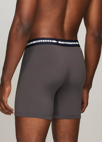 Трусы (3 шт.) Tommy Hilfiger (302859843)