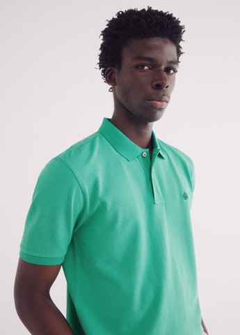 Поло Springfield (342325998)