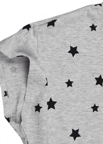 Сіра демісезонна футболка H&M