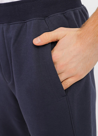 Темно-синие спортивные демисезонные джоггеры брюки Promin