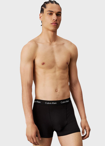 Труси (3 шт.) Calvin Klein (366431631)