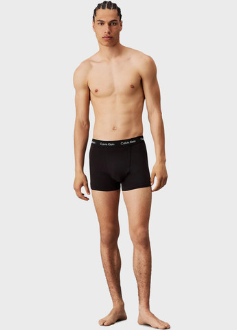 Труси (3 шт.) Calvin Klein (366431631)