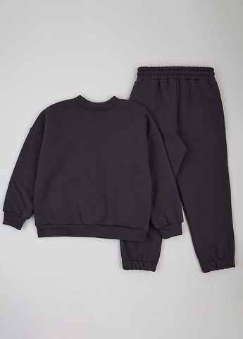 Костюм (толстовка, брюки) Flamingo (359368618)