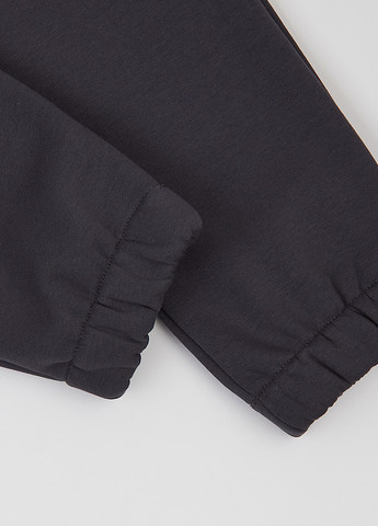 Костюм (толстовка, брюки) Flamingo (359368618)