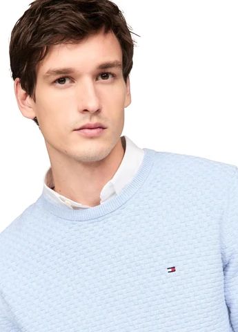 Світло-блакитний демісезонний джемпер джемпер Tommy Hilfiger