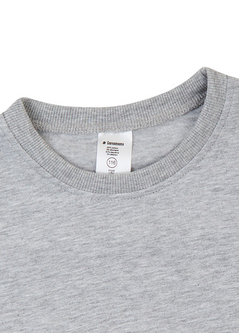 Сіра демісезонна футболка Garnamama