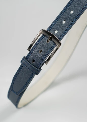 Ремень мужской ISSA PLUS R1-70 (254869726)