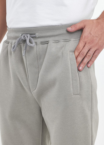 Светло-серые спортивные демисезонные джоггеры брюки Trend Collection