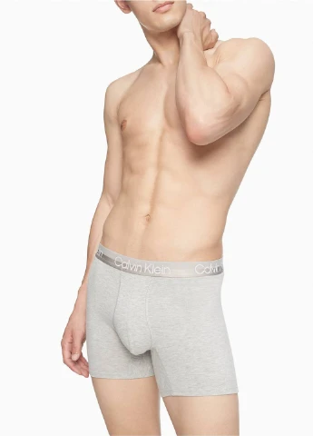 Труси (3 шт.) Calvin Klein (256797433)