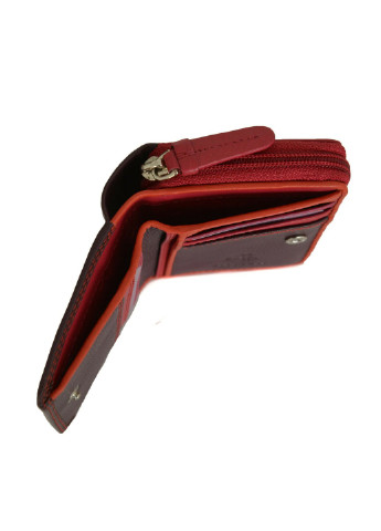 Гаманець жіночий шкіряний RB53 - Hawaii Visconti (254312053)