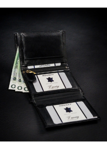 Кошелек мужской кожаный 1537-03-BOR Rovicky (254314467)