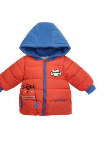 Оранжевая демисезонная куртка детская Qoopixie