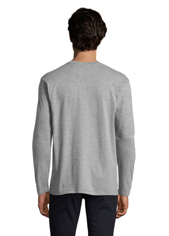 Серый демисезонный кэжуал лонгслив Sol's меланж