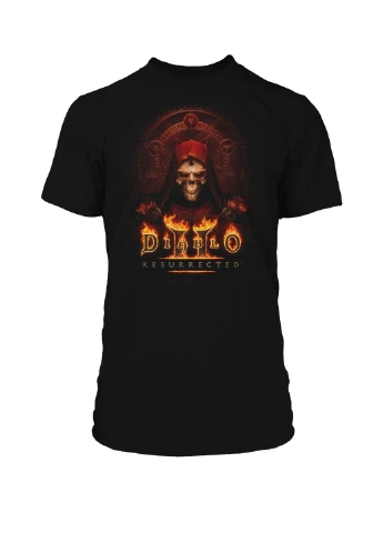 Комбинированная футболка diablo ii - resurrected key to darkness premium tee JINX