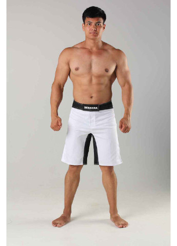 Шорты Berserk Sport (252922196)
