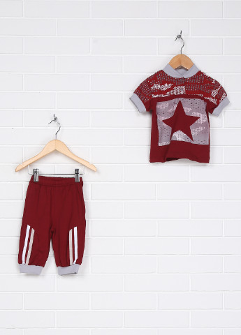 Бордовый весенний комплект (футболка, брюки) Baby Art