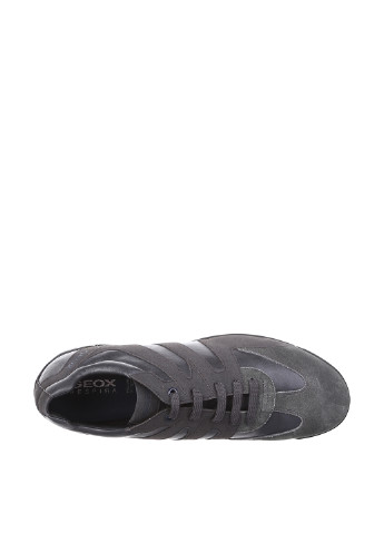 Темно-серые демисезонные кроссовки Geox