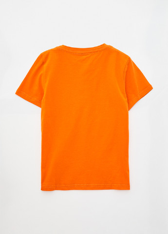 Комбинированный летний комплект (футболка, шорты) Роза
