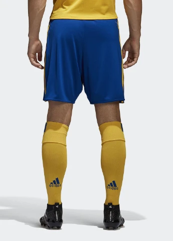Шорти adidas (75675904)