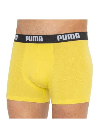 Трусы Puma Basic Boxer 2-pack (253477734)