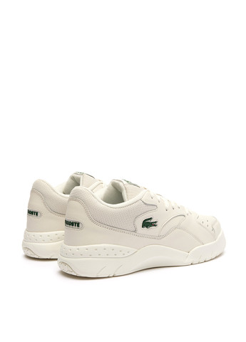Кросівки Lacoste (298073903)
