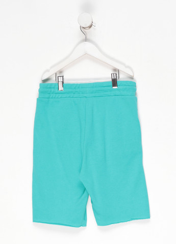 Шорты H&M (316704190)