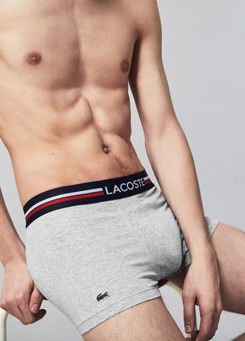 Трусы (3 шт.) Lacoste (329059656)