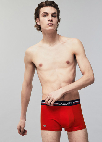 Трусы (3 шт.) Lacoste (329059656)
