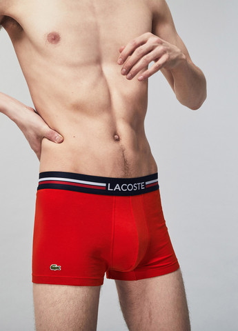 Трусы (3 шт.) Lacoste (329059656)
